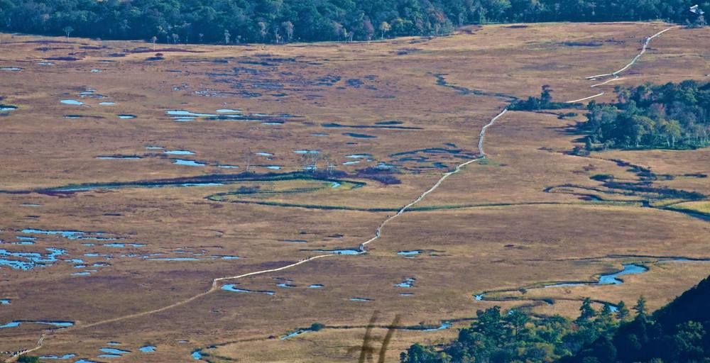 風霜高潔・至仏山の写真10