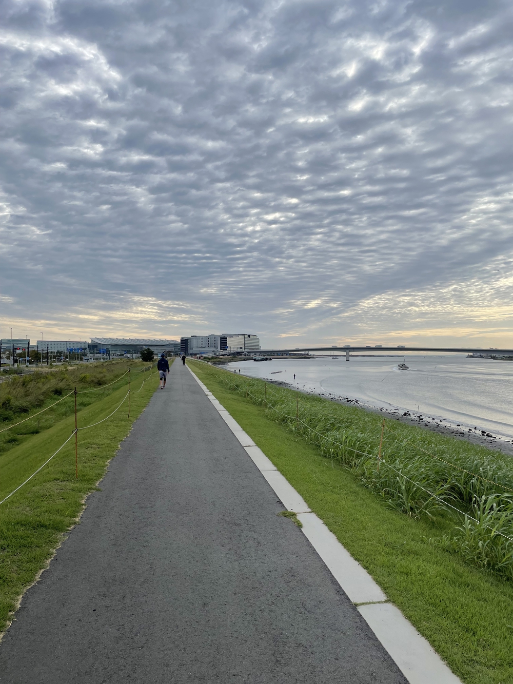 飛行機好きならきっと満足の写真3