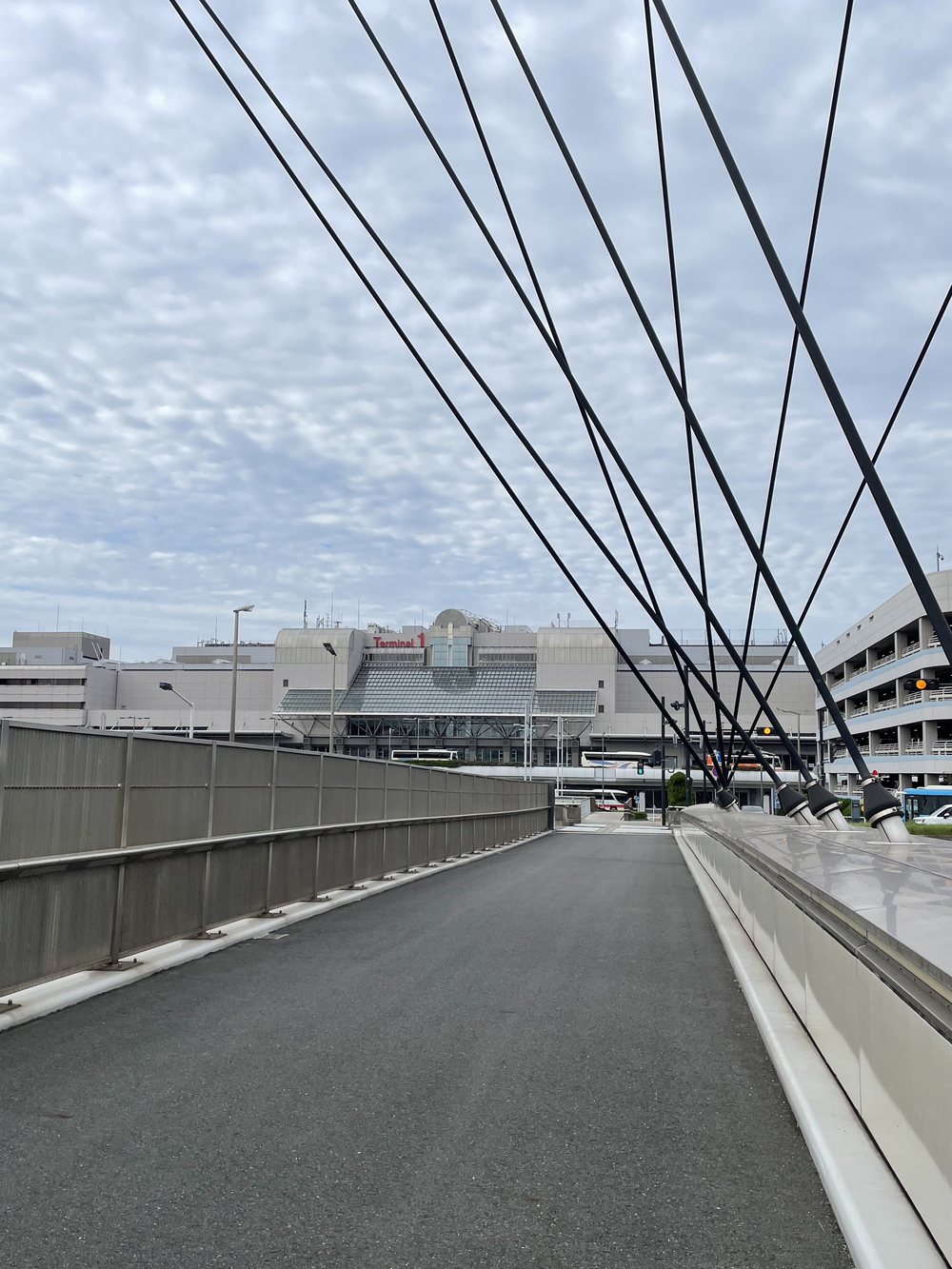 飛行機好きならきっと満足の写真5