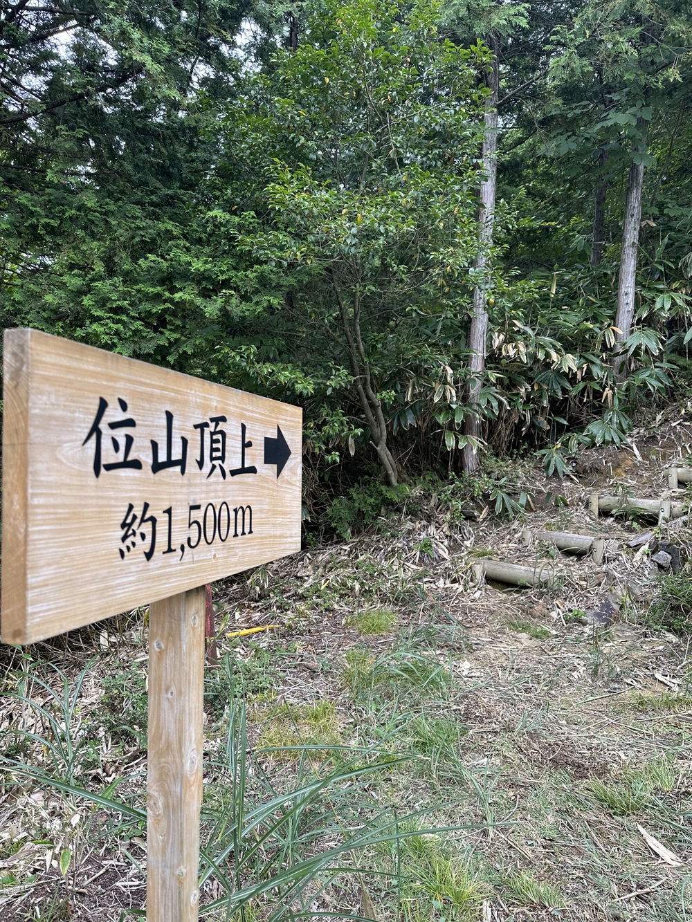 岐阜　飛騨位山トレイルレースの写真3