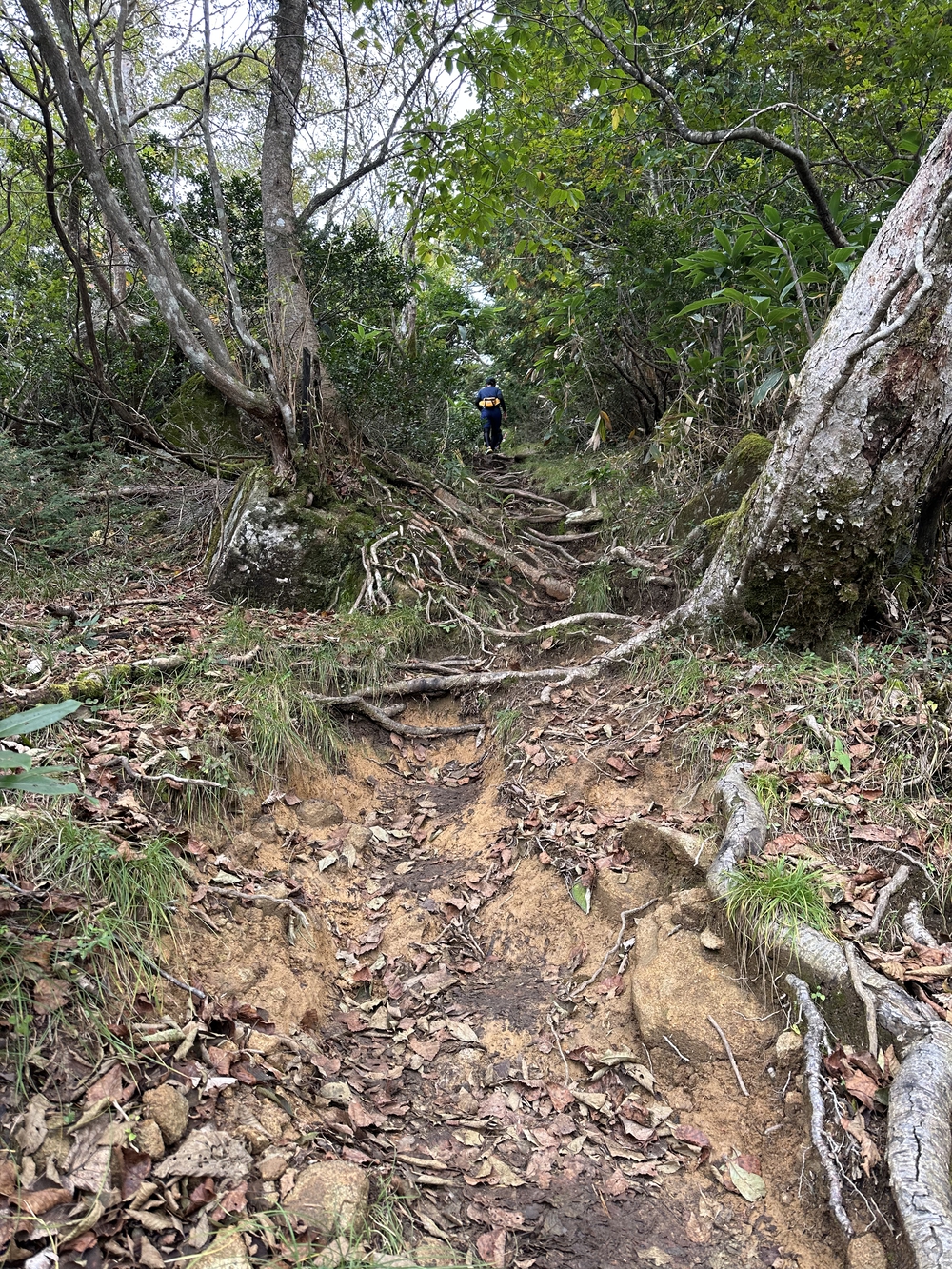 岐阜　飛騨位山トレイルレースの写真4