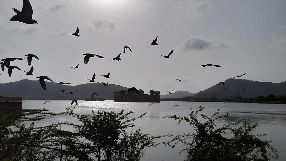 【修羅の国インド】ピンクシティ、ジャイプールで楽しむ旅ランの写真7