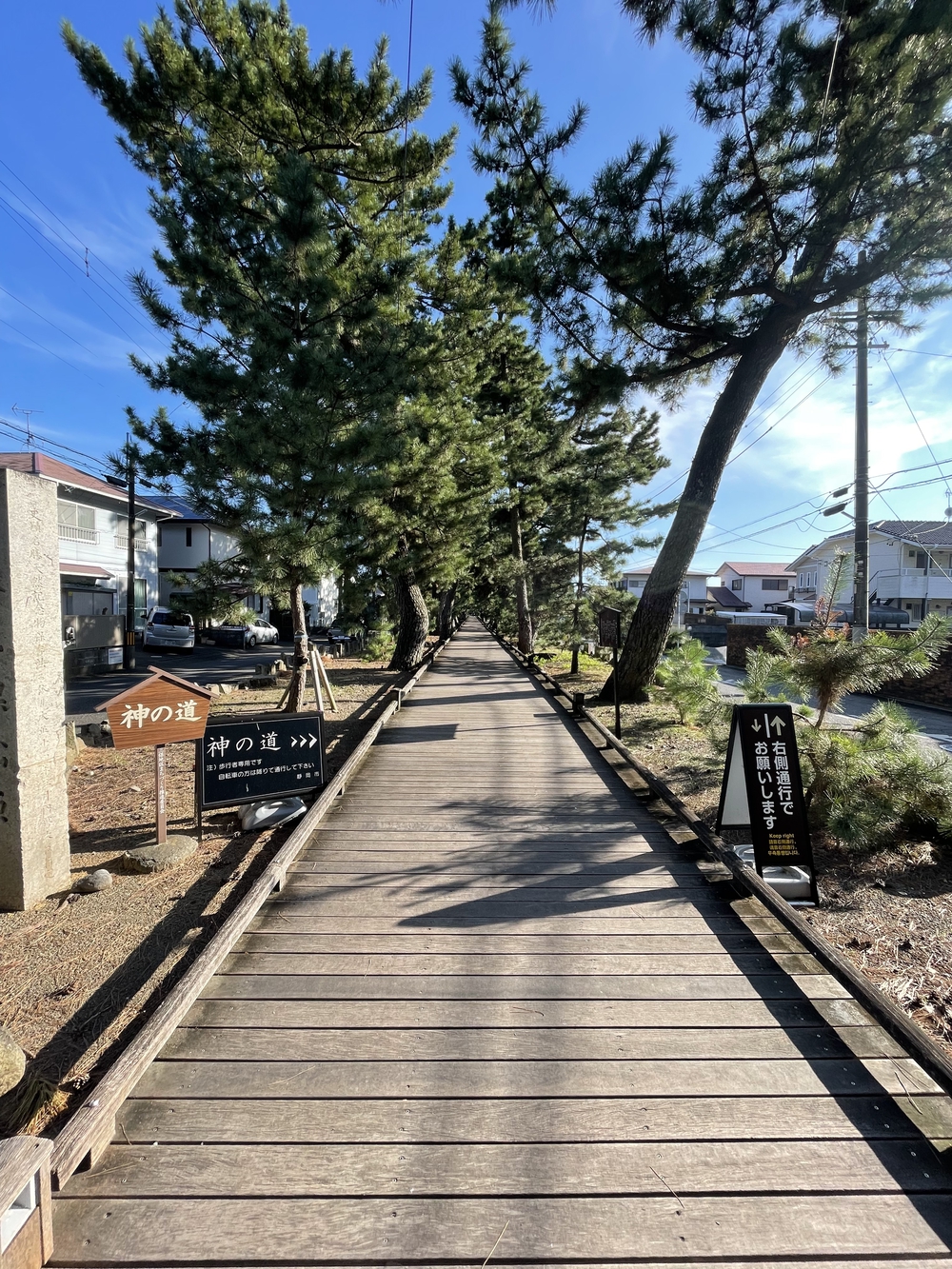 広重と共にRUN 美保の松原の写真4