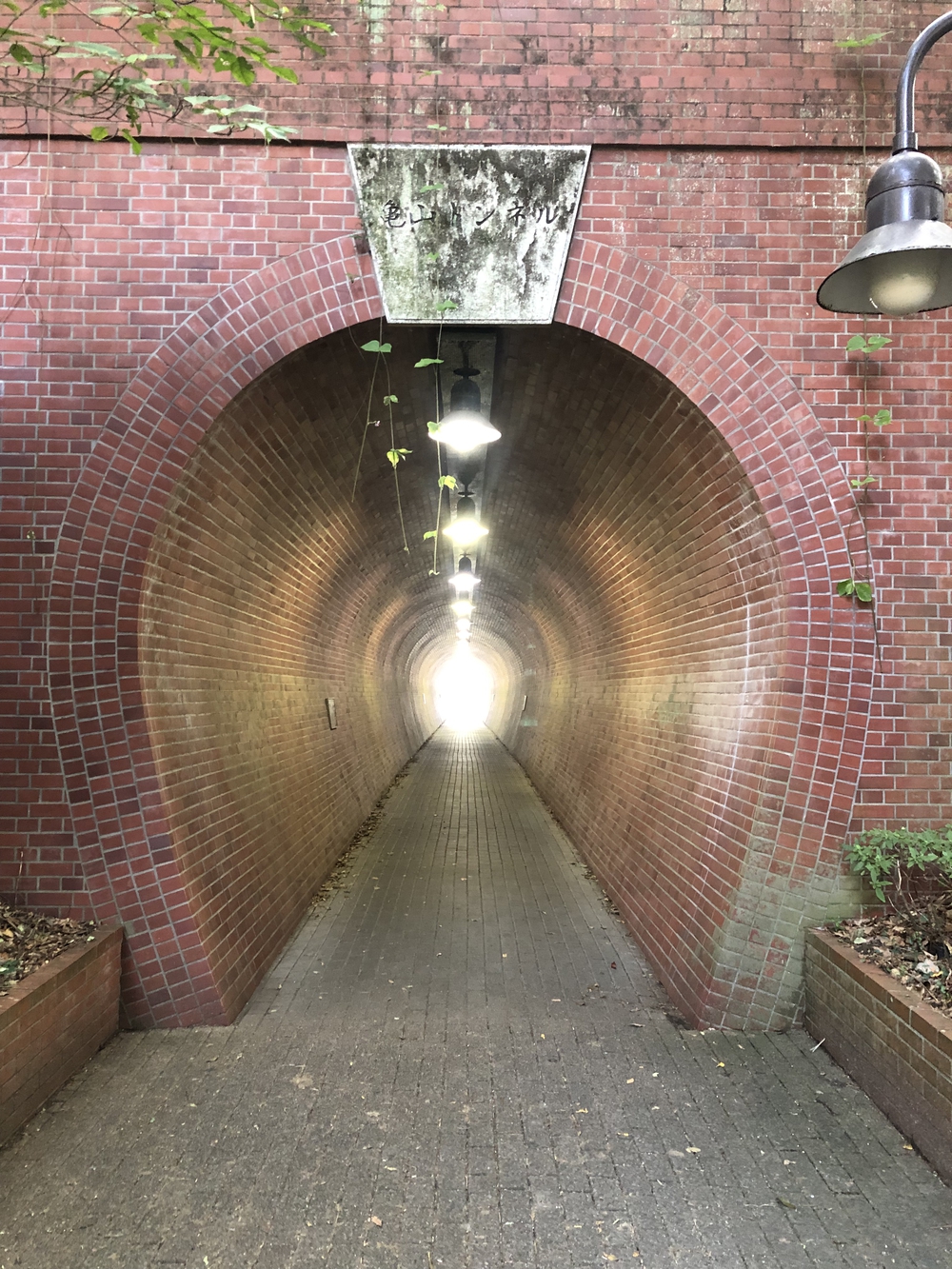 「どうする家康？」JRウォーキング！！の写真6