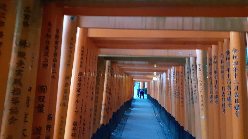 【京都】伏見稲荷大社で幻想極まれり千本鳥居ランニングの写真3