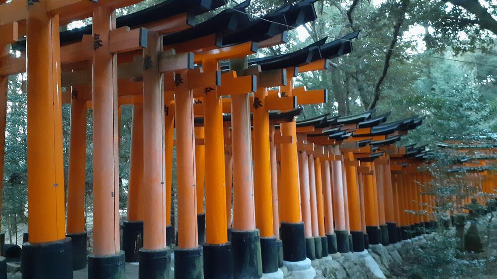 【京都】伏見稲荷大社で幻想極まれり千本鳥居ランニングの写真4