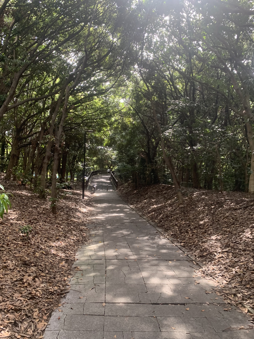 【月一沿線倶楽部】実は走れる東京モノレールの写真3