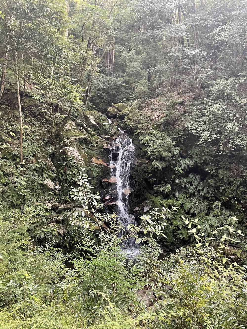 まちから山まで奈良観光…奈良公園・若草山・鶯の滝、20km弱の写真3