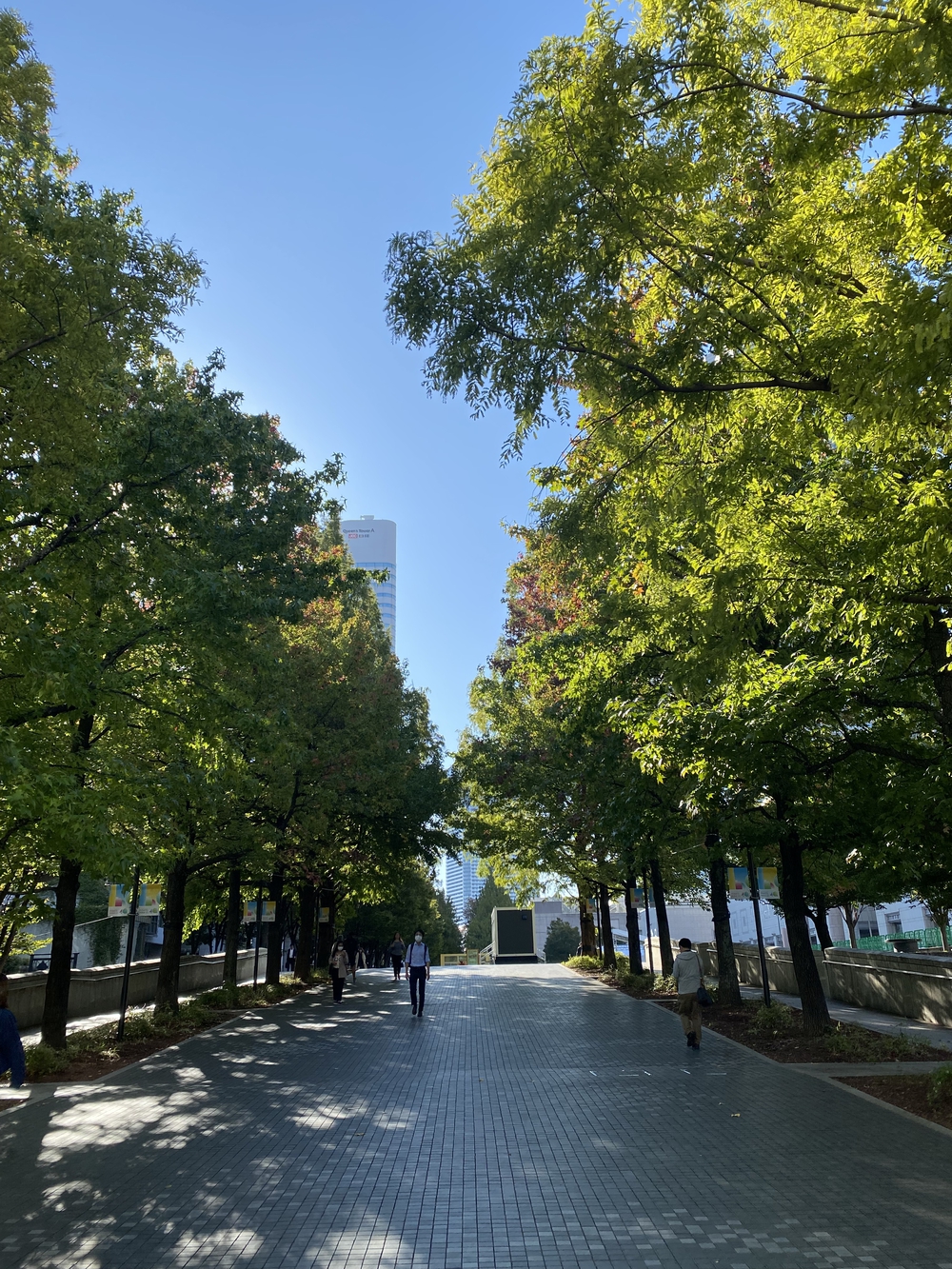 みなとみらいの５つの錨⚓️のモニュメントを巡るの写真8