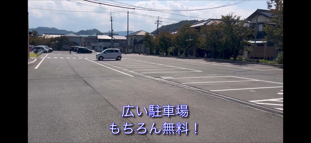 岩美町コスモスロードの写真3