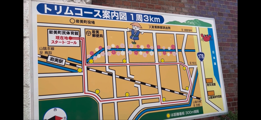 岩美町コスモスロードの写真4