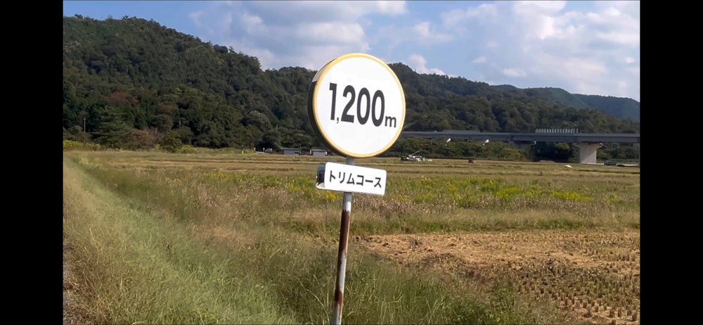 岩美町コスモスロードの写真8