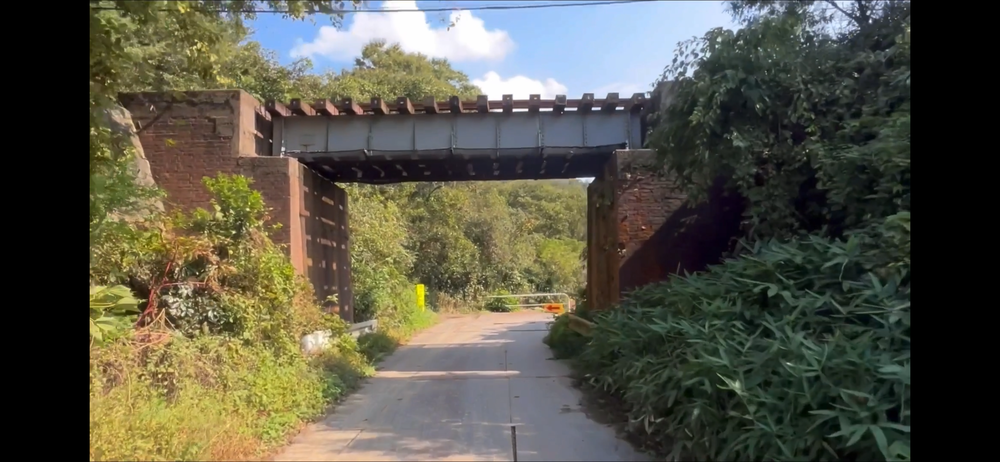 岩美町コスモスロードの写真9