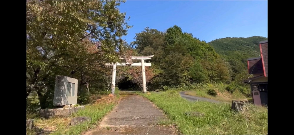 岩美町コスモスロードの写真10