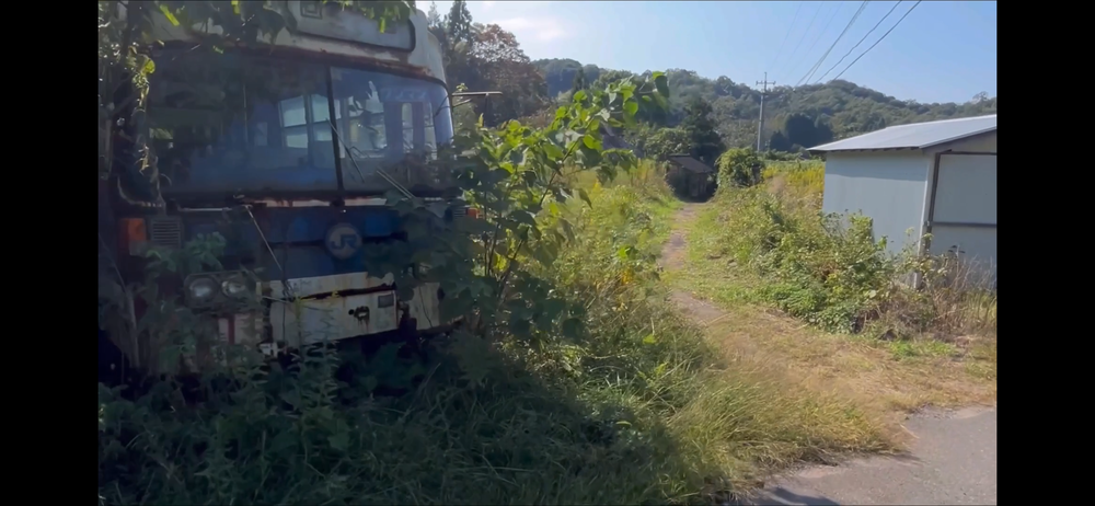 岩美町コスモスロードの写真11