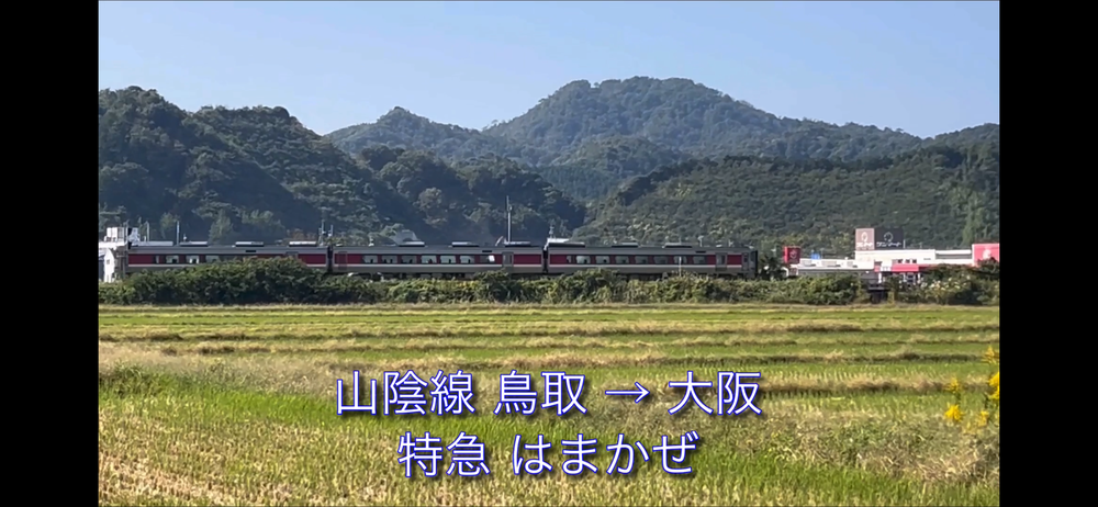 岩美町コスモスロードの写真14