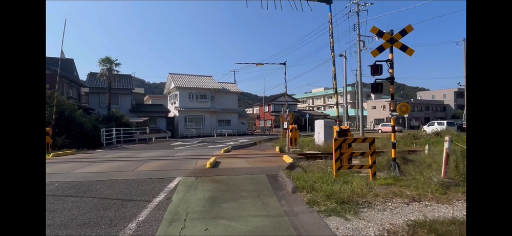 岩美町コスモスロードの写真15