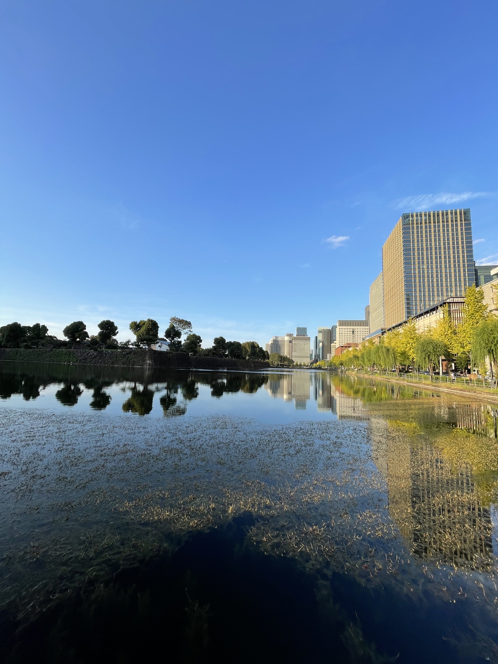 歌川広重と共にRUN 芝大神宮の写真8