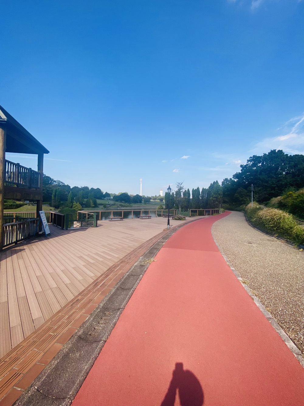 【一周1150m】あいち健康の森公園ジョギングロードの写真4