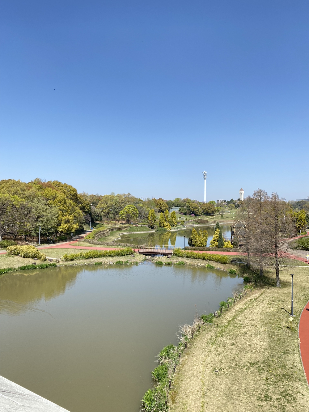 【一周1150m】あいち健康の森公園ジョギングロードの写真5