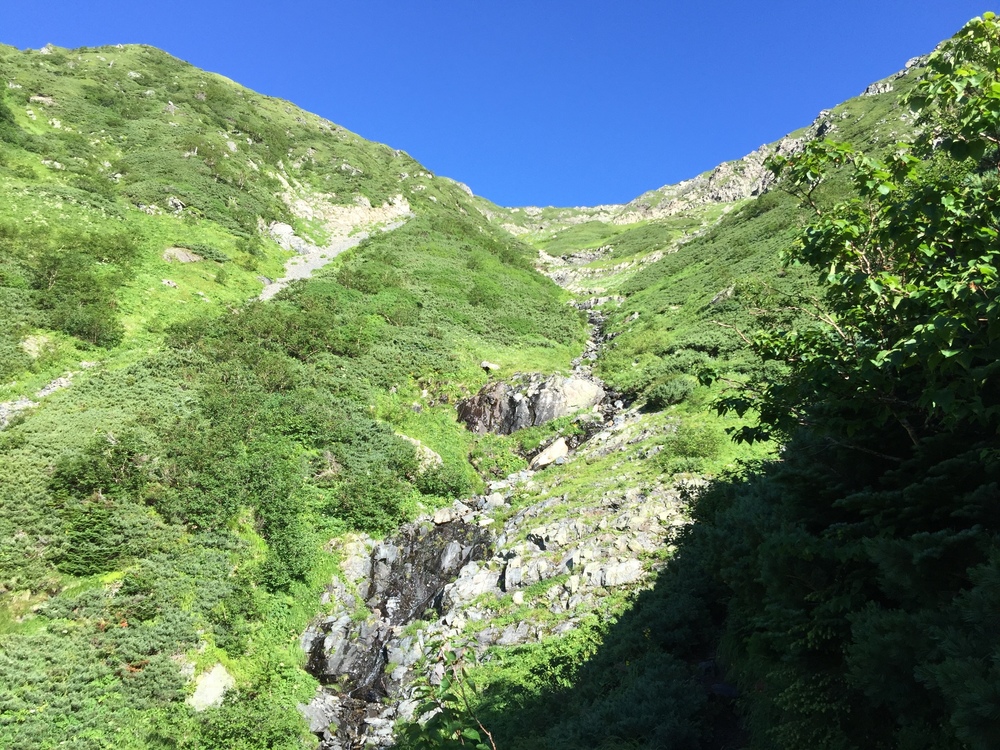 大展望が楽しめる 「赤石岳、悪沢岳」の写真3