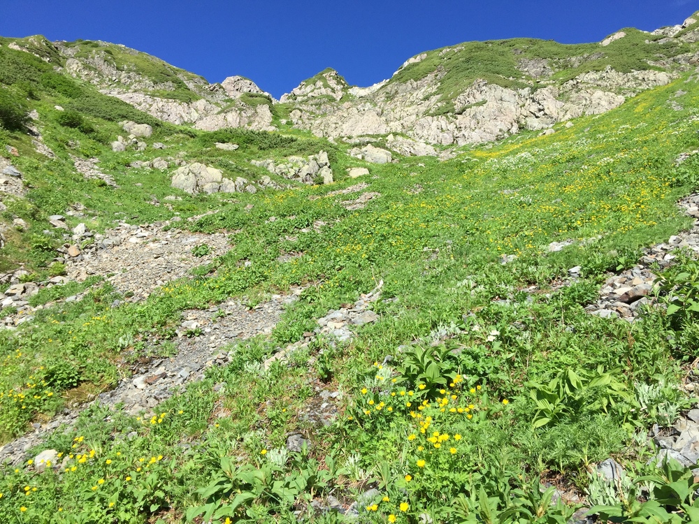 大展望が楽しめる 「赤石岳、悪沢岳」の写真4
