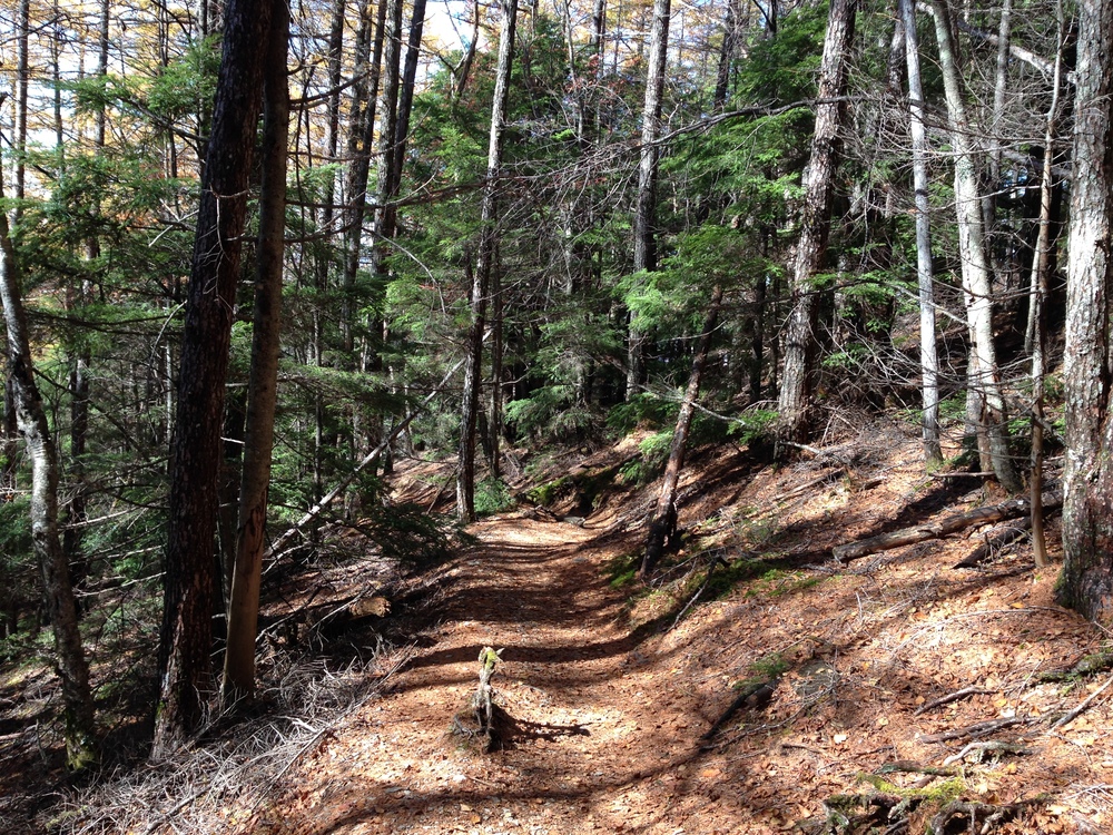 お手軽日帰り百名山２座（金峰山、瑞牆山）の写真7