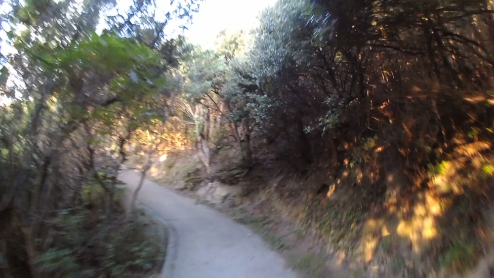 徳島県、瀬戸内海国立公園「鳴門」ダイナミックな潮流を望むランニングコースの写真7