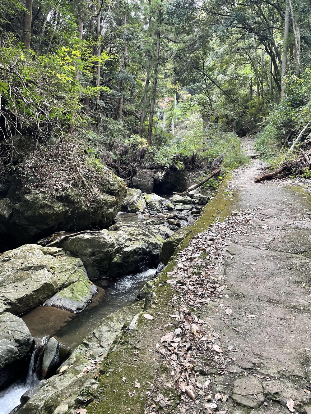 高槻駅〜夢鯉ロード〜摂津峡公園〜白滝の往復13kmの写真5