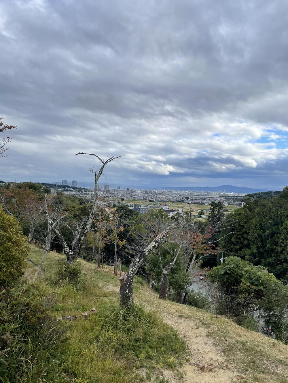高槻駅〜夢鯉ロード〜摂津峡公園〜白滝の往復13kmの写真6