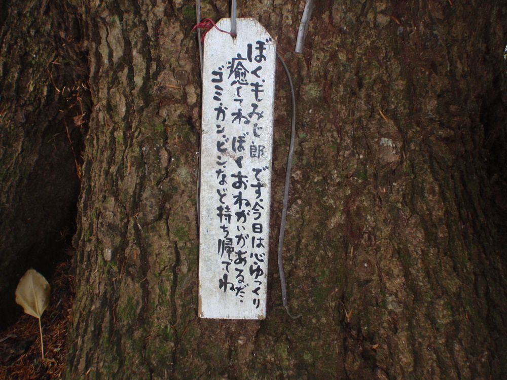 七里川温泉～石尊山～麻綿原高原～清澄寺～四方木不動滝の写真3