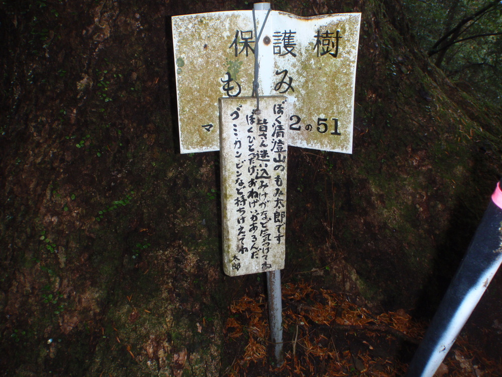 七里川温泉～石尊山～麻綿原高原～清澄寺～四方木不動滝の写真4