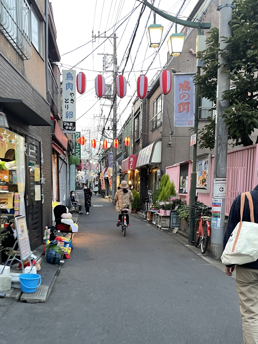 歌川広重と共にRUN 向島の写真5