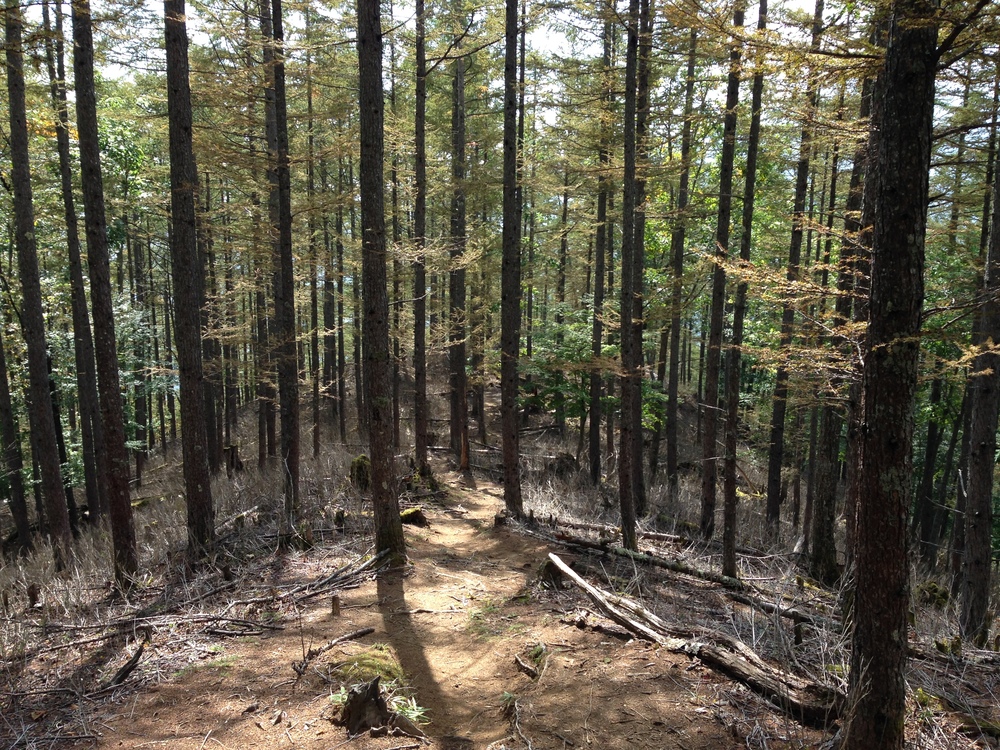 甲武信ヶ岳の写真7