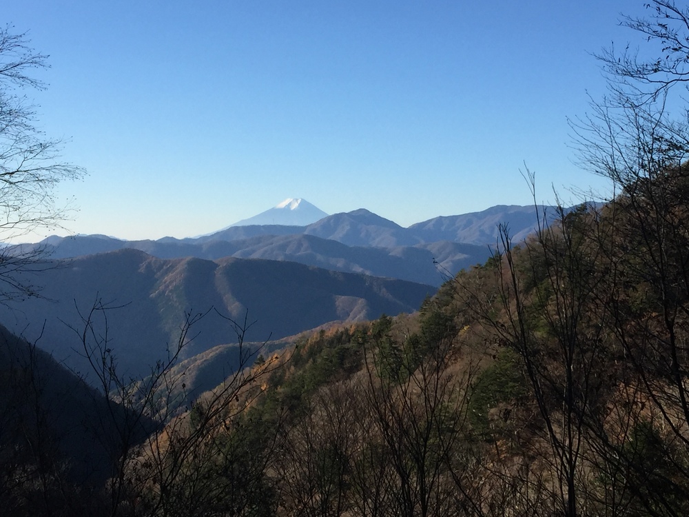 走りやすいです！雲取山！！の写真3