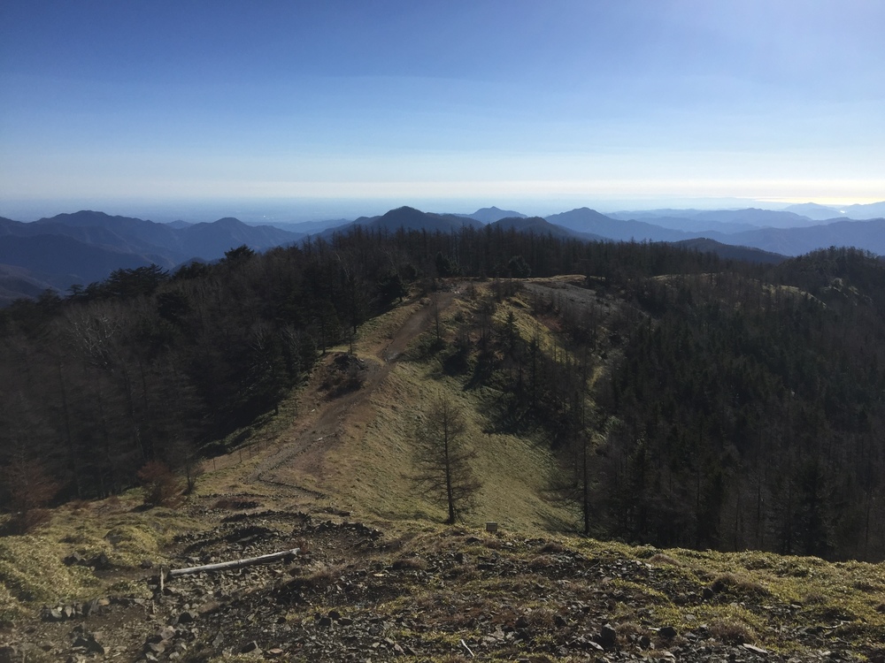 走りやすいです！雲取山！！の写真5