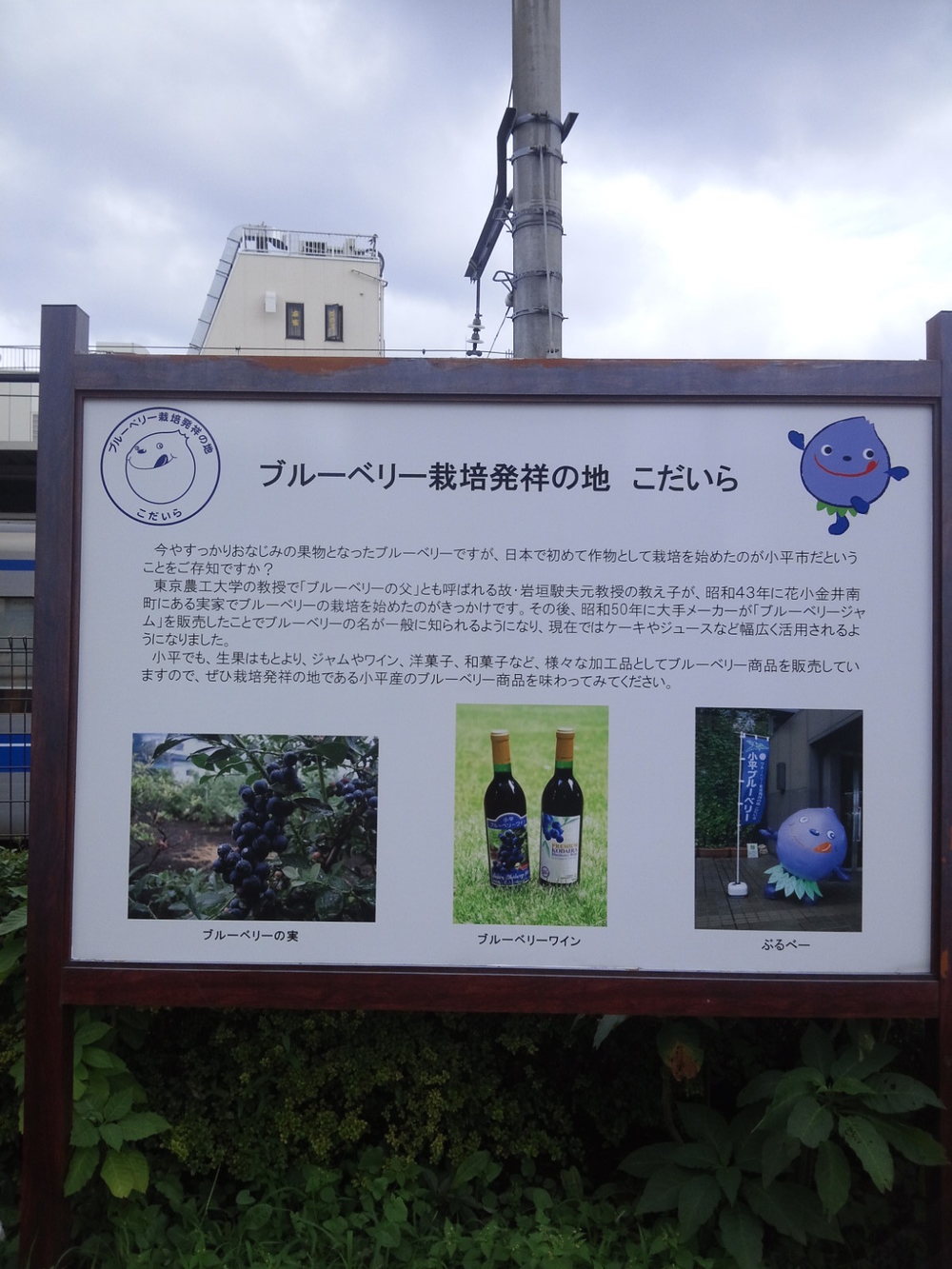 多摩湖自転車道ＲＵＮ　ハーフの写真4