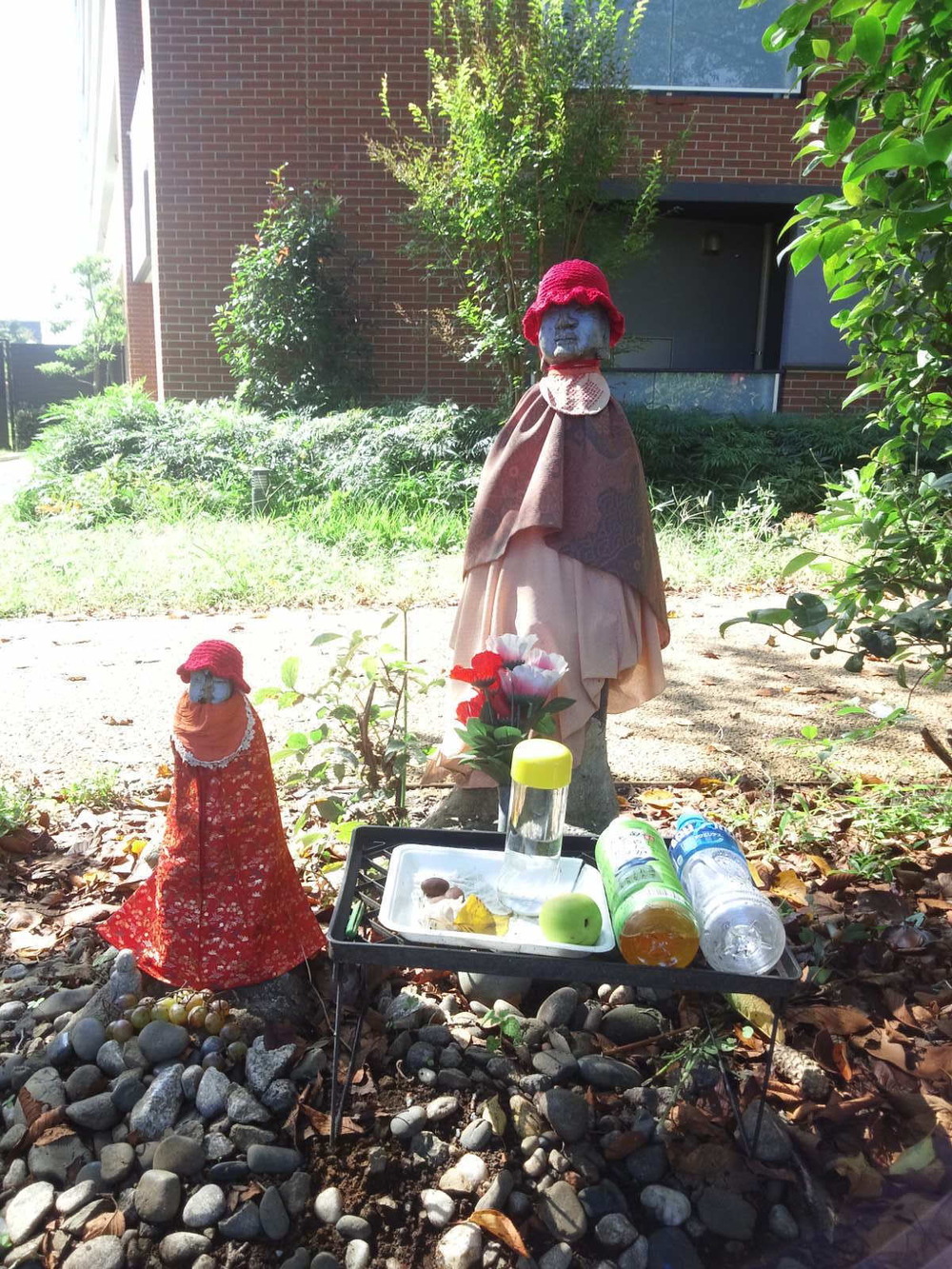 多摩湖自転車道ＲＵＮ　ハーフの写真5