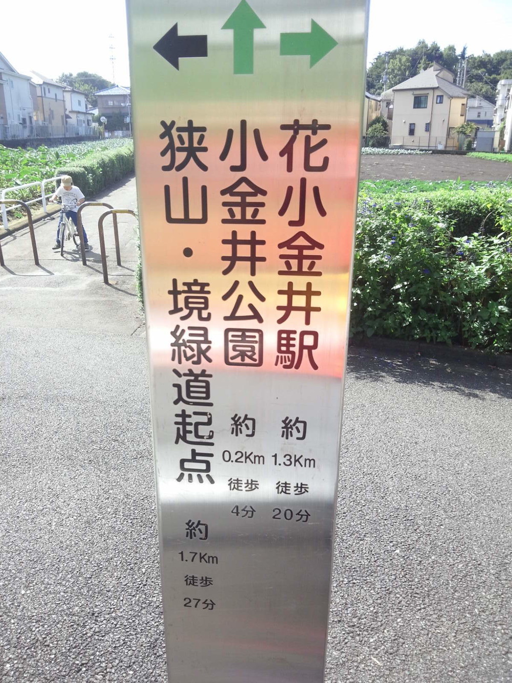 多摩湖自転車道ＲＵＮ　ハーフの写真6