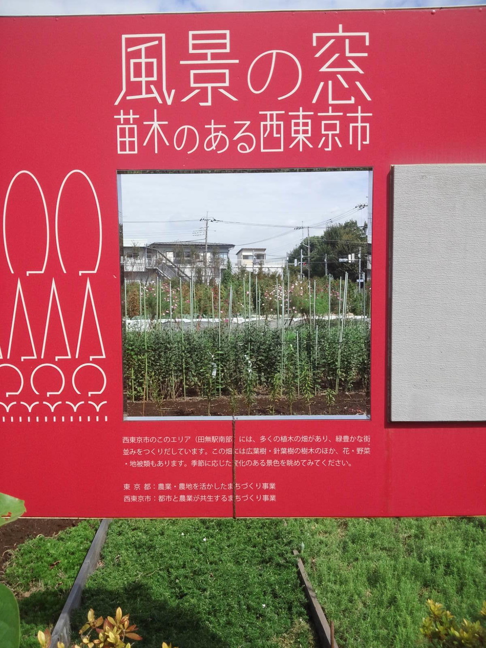 多摩湖自転車道ＲＵＮ　ハーフの写真7