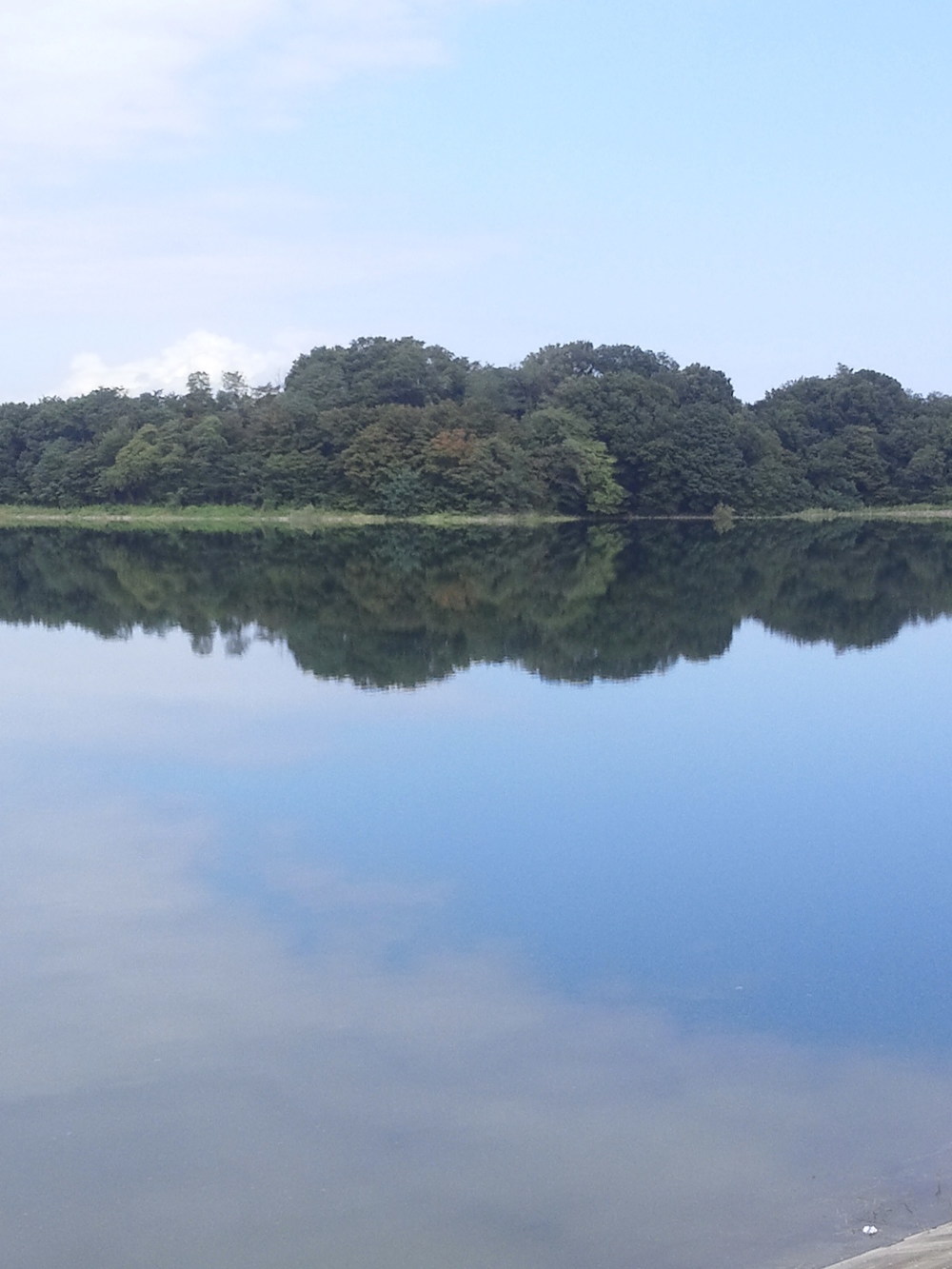 多摩湖自転車道ＲＵＮ　ハーフの写真10