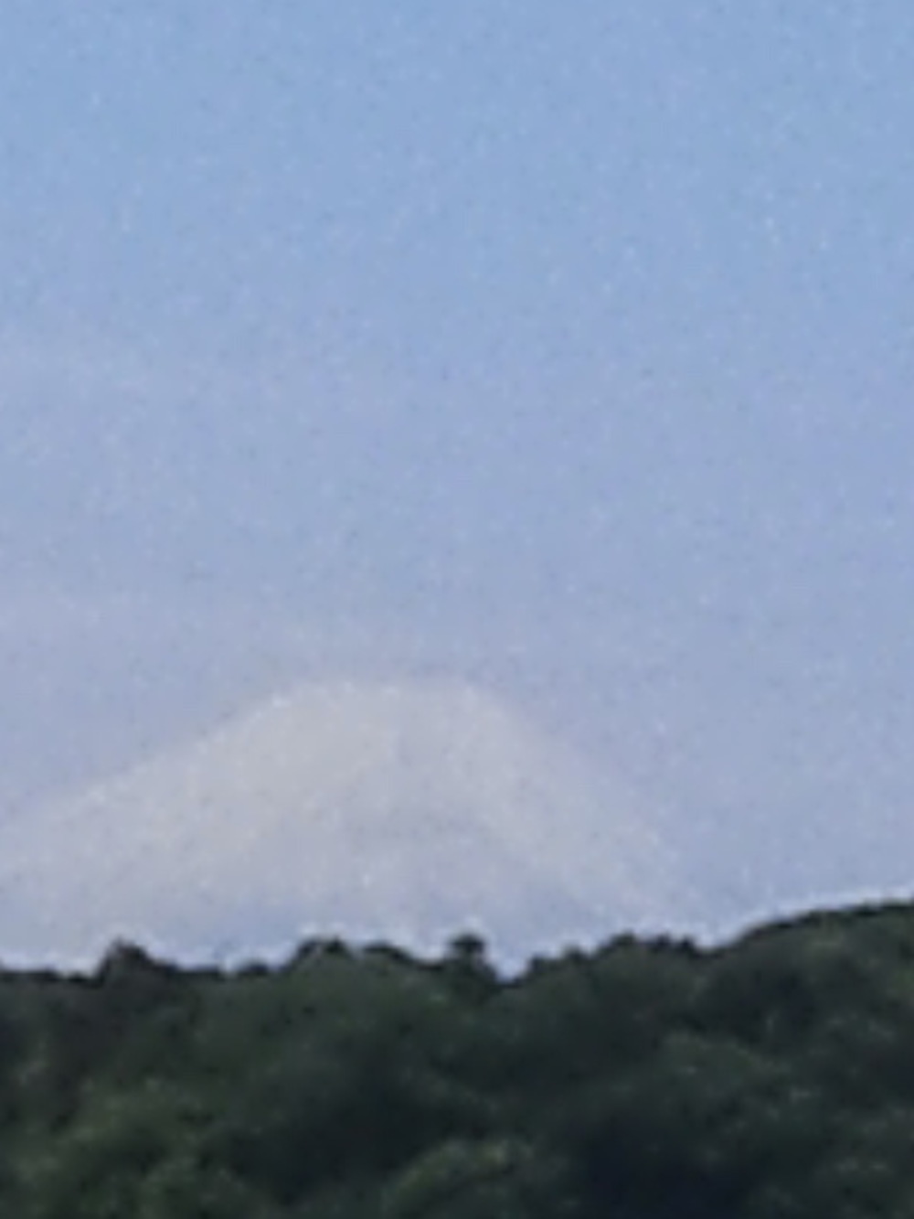 多摩湖自転車道ＲＵＮ　ハーフの写真11