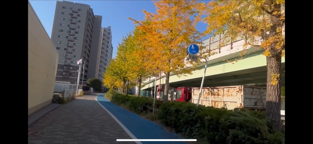 箱根駅伝1区 大手町→ 鶴見中継所の写真17