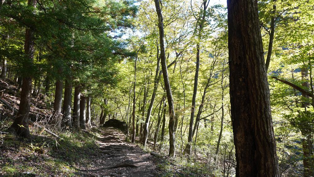 【鬼怒川/龍王峡】渓谷天国で街ランとトレランを一日で楽しみつくすの写真5