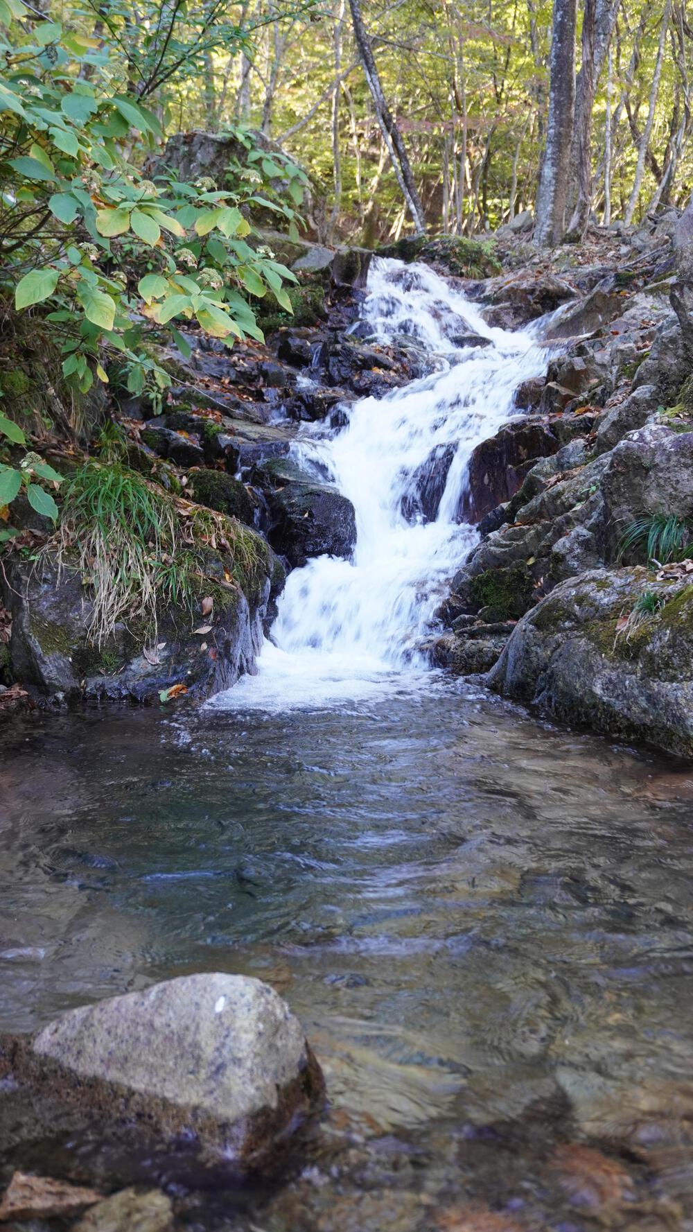 【鬼怒川/龍王峡】渓谷天国で街ランとトレランを一日で楽しみつくすの写真9