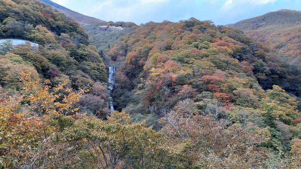 【紅葉の日光】いろは坂で紅葉の領域展開の写真3