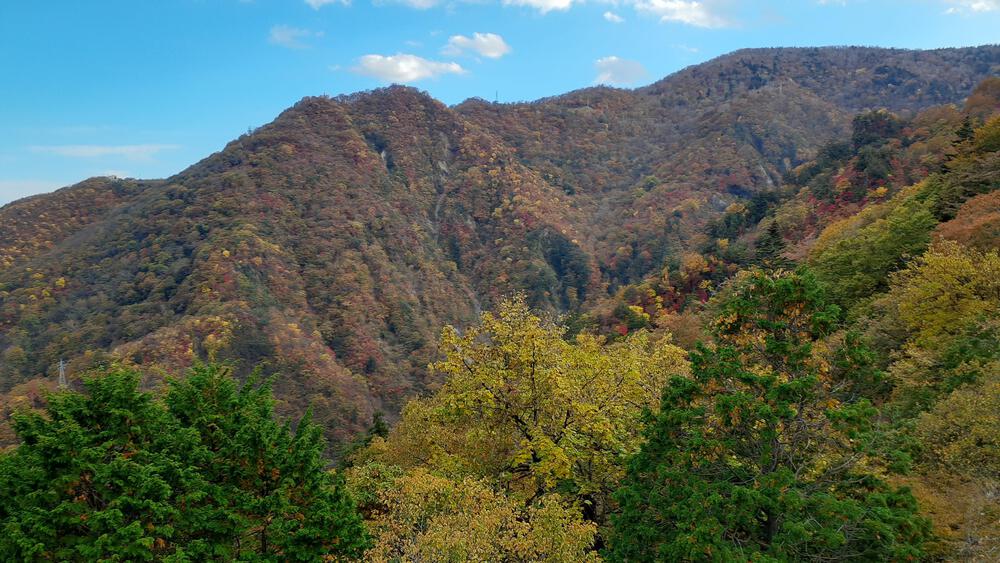 【紅葉の日光】いろは坂で紅葉の領域展開の写真4