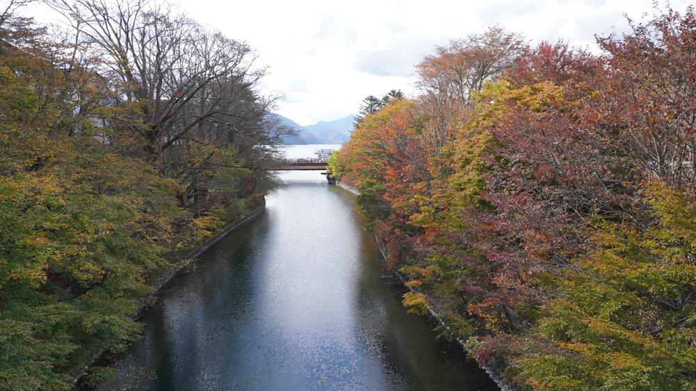 【紅葉の日光】いろは坂で紅葉の領域展開の写真5