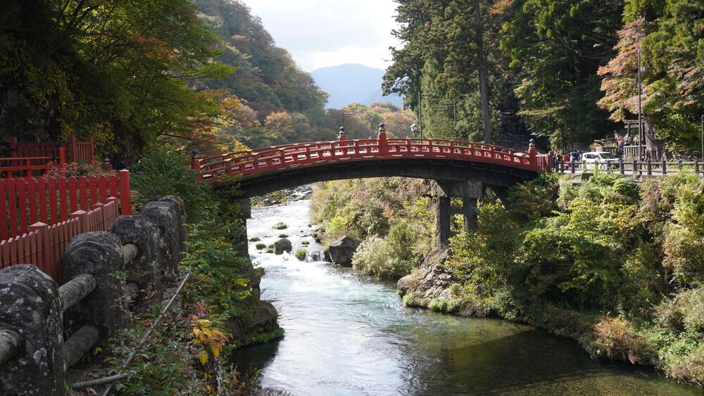 【紅葉の日光】いろは坂で紅葉の領域展開の写真9
