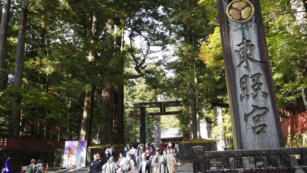 【紅葉の日光】いろは坂で紅葉の領域展開の写真10